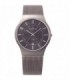 SKAGEN Mens Mesh Titanium Bracelet 233XLTTM